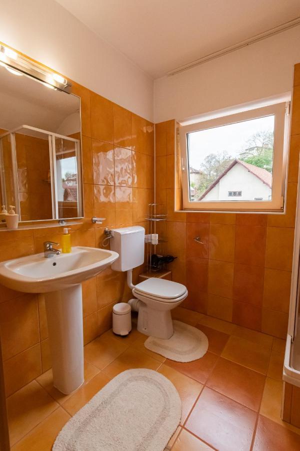 Residence 48 Beautiful Building Within Moments From The Old Town Of براشوف المظهر الخارجي الصورة